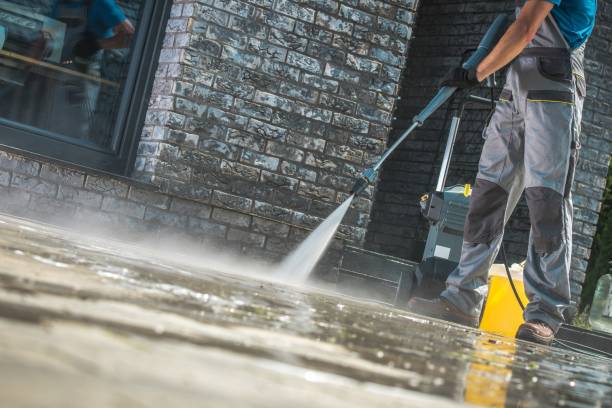 Best Soft Washing  in Desoto Lakes, FL